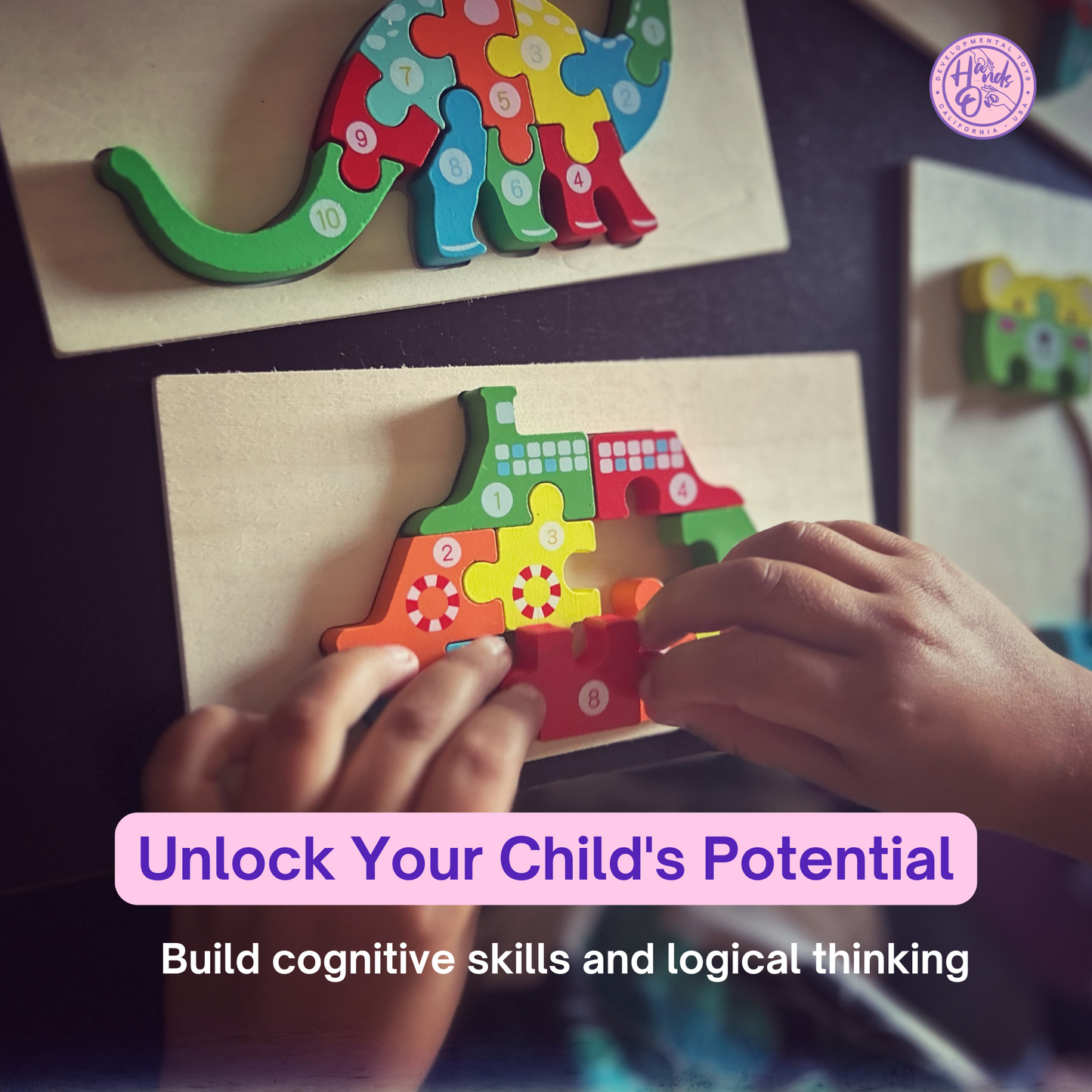 A1- Montessori Wooden Puzzle Set for Kids (6-puzzles)